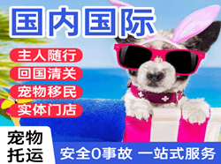 西庆空运代理国际宠物托运 【国